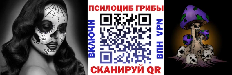 Галлюциногенные грибы Psilocybe  дарнет шоп  Новочеркасск 